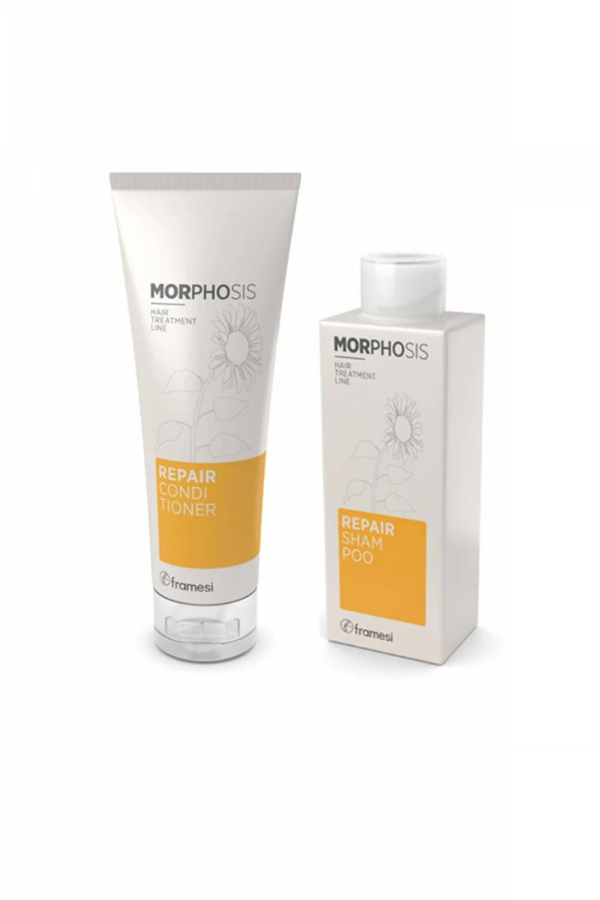 Kit Reparare - 250ml - Framesi