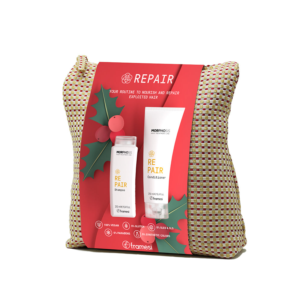 KIT REPAIR CHRISTMAS - FRAMESI