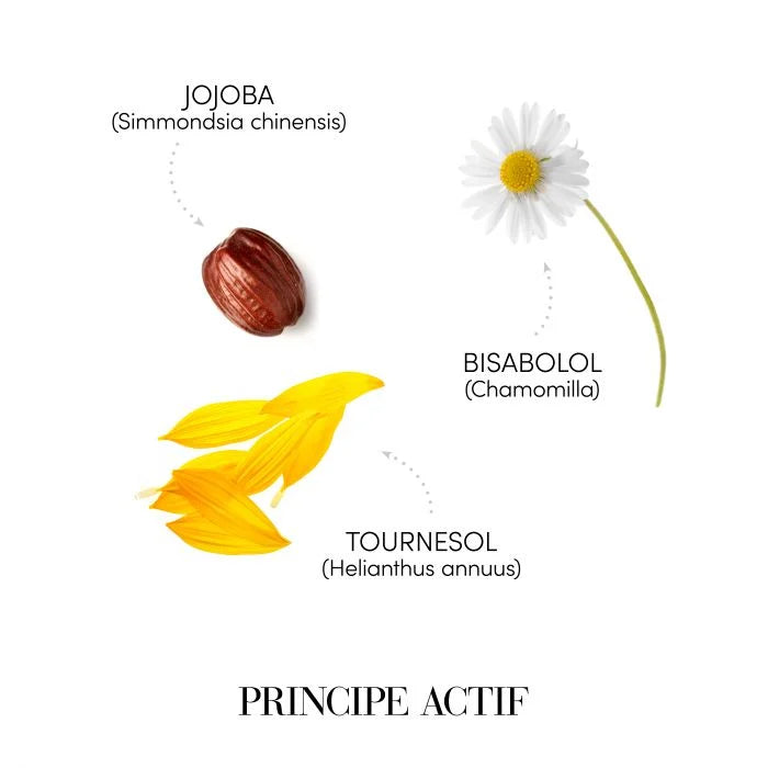 Medavita Luxviva Sampon Post Color – ingrediente active: Jojoba Simmondsia chinensis, Bisabolol Chamomilla, Tournesol Helianthus annuus. Principe Actif. Made in Italy.