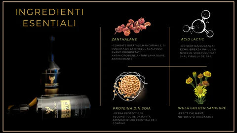 Winstory Guardian Scalp – ingrediente active: Zanthalane, Acid Lactic, Proteina din Soia si Inula Golden Samphire pentru protectia scalpului.