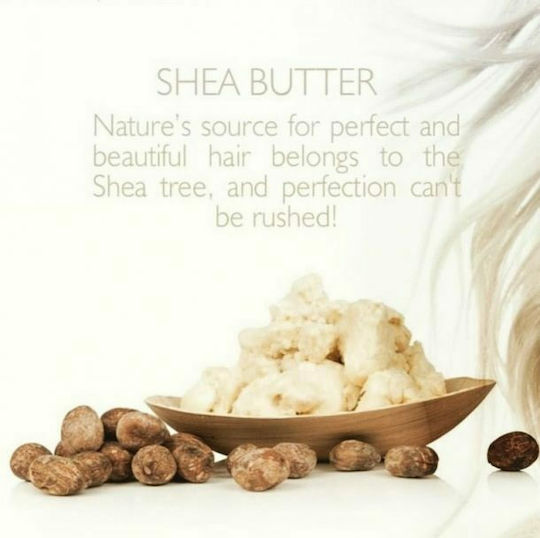 Unt de shea brut si nuci de shea – ingredientul natural pur din Saryna Key Curl Control pentru par frumos, cret si ondulat
